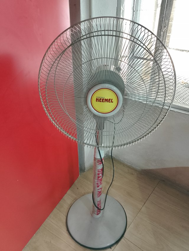 1000035245.jpg
