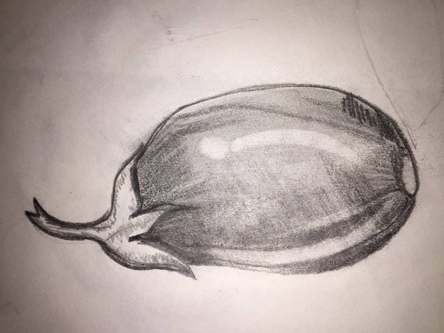Drawing a pencil sketch of brinjal