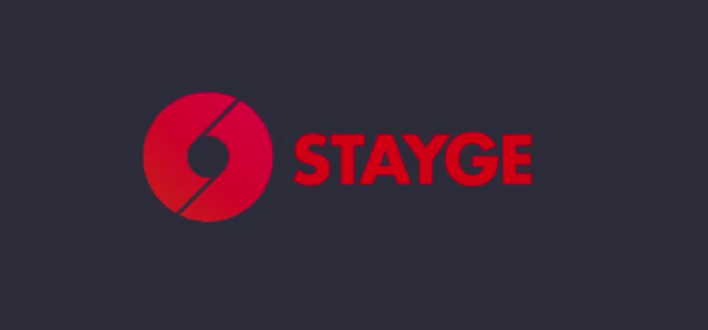 Stayge ICO Review.png