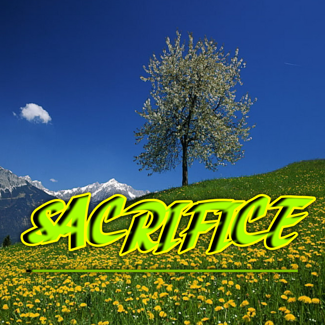 20250721_091424.png