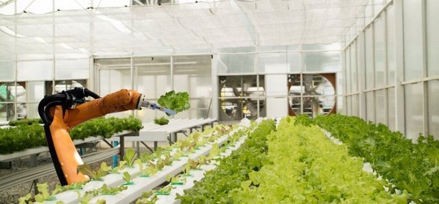 robot-farming-startup-iron-ox-takes-another-step-forward.jpg