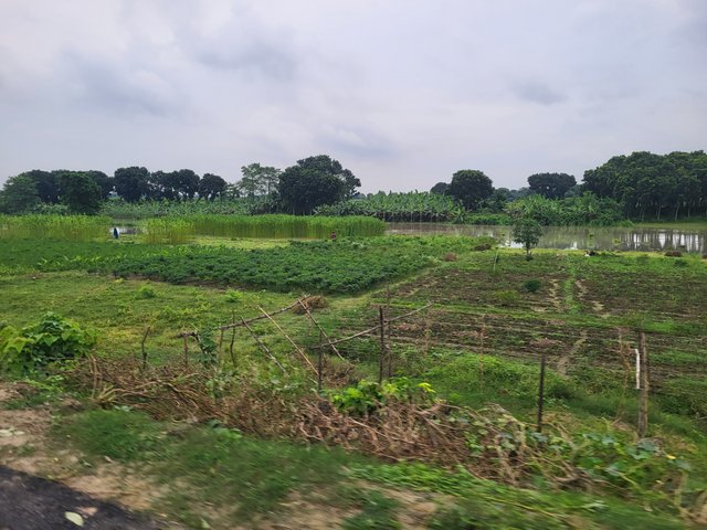 20250813_180628.jpg