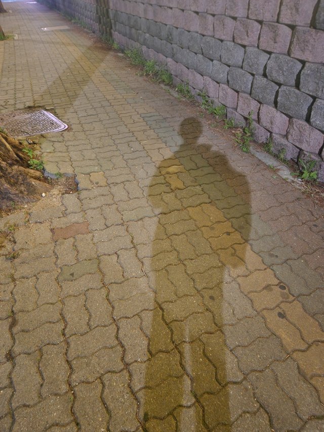 1000002570.jpg