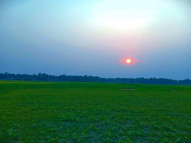 IMG_20250513_183952.jpg