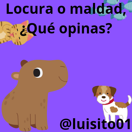 Locura o maldad, ¿Qué opinas__20241005_173455_0000.png