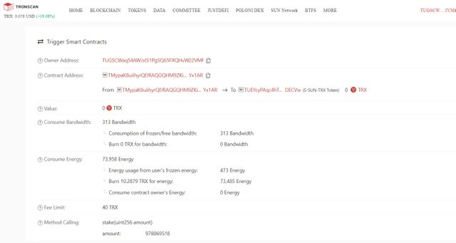 stake energy consumption details.jpg