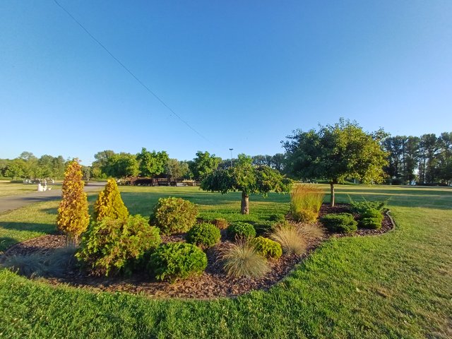 20250724_064119.jpg