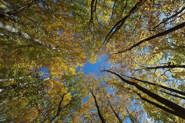 10437125835-autumn-in-thuringia-eichsfeld-rusteberg (FILEminimizer).jpg