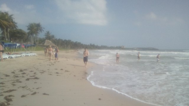 IMG_20211006_083925.jpg