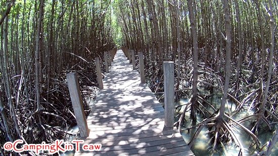 ST-อ่าวคุ้งกระเบน-013.jpg