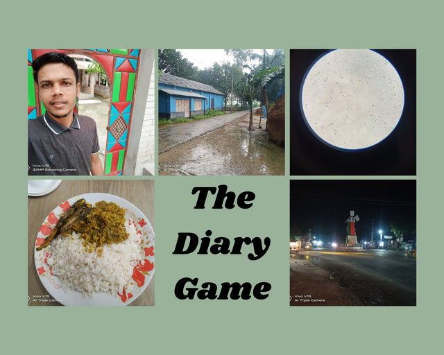 The Diary Game_ _ 13 May,2024_20240629_185845_0000.png