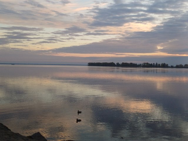20251006_070405.jpg