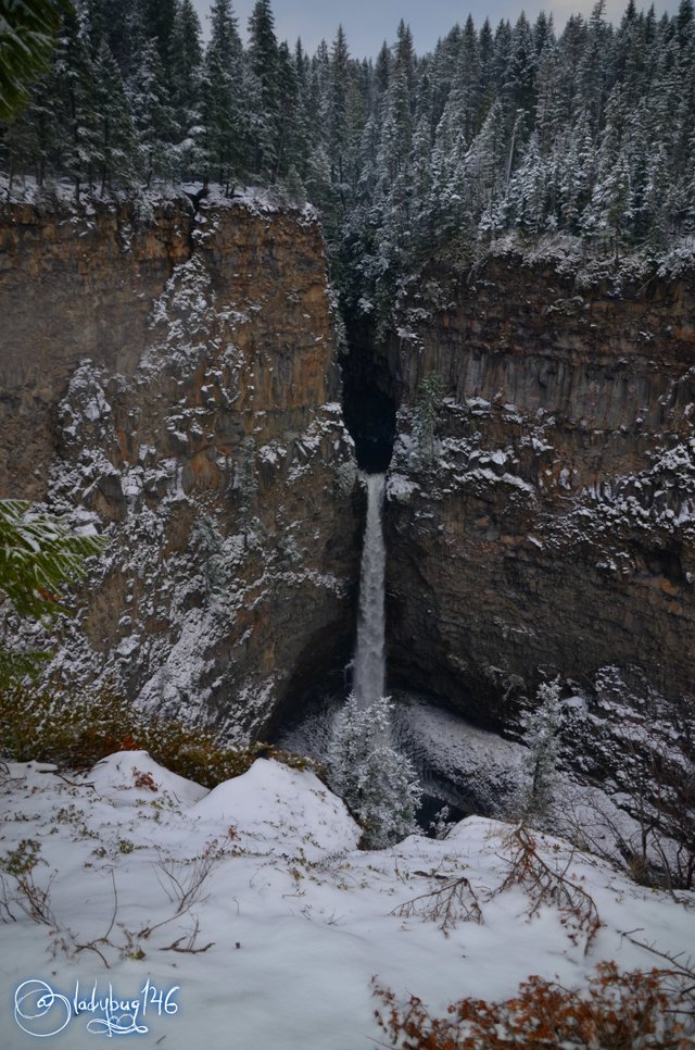 wells gray provincial park - spahat falls2.jpg