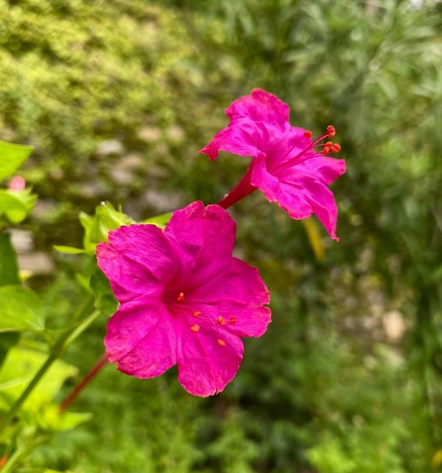 IMG_20250909_195837.jpg