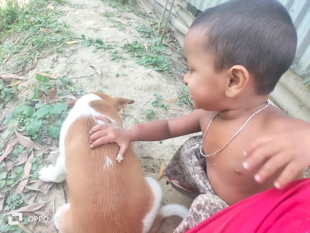 IMG20250508114901.jpg