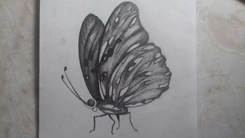 Dibujo a lápiz de una mariposa — Steemit