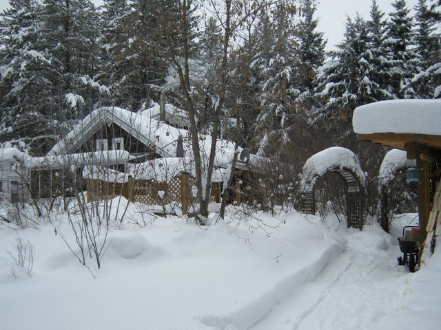 winter scene of house.jpg