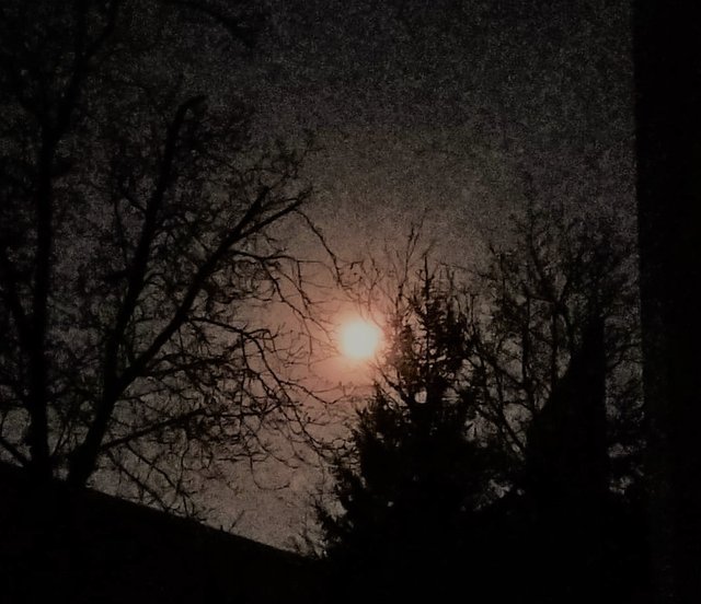 Midnight_Moon_Sah'ra.jpg