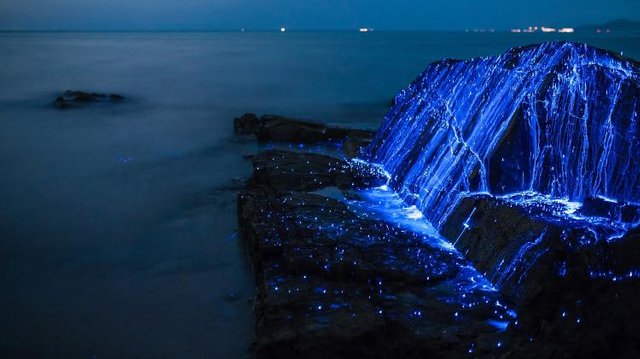 fenomeno-de-bioluminescencia-na-regiao-de-okayama-no-japao-1566257550724_v2_750x421.jpg