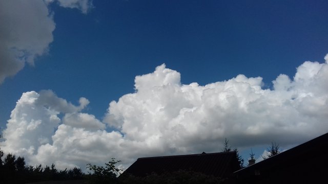 20180726_111302.jpg