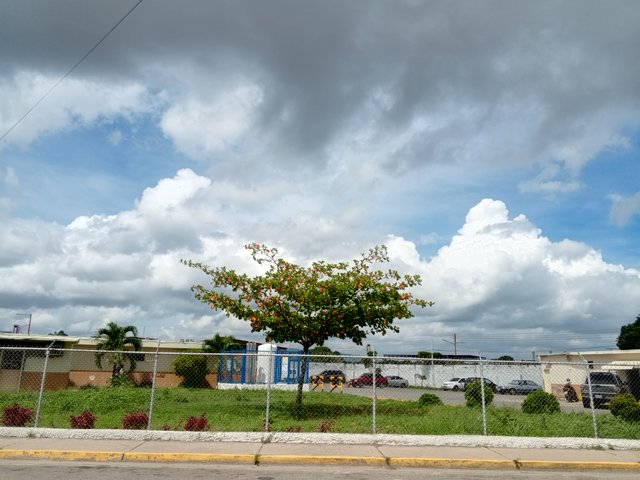 IMG_20250801_103136_156.jpg