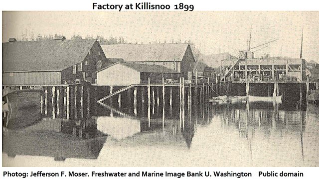 Factory2  at_KillisnooMoser, Jefferson F.freshwater and marine image bank u washington public.jpg
