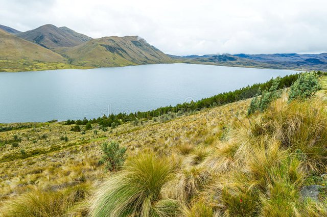 el-hombre-de-pisayambo-hizo-el-lago-en-ecuatoriano-los-andes-61380937.jpg