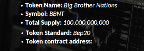 BBNT TOKEN DETAIL.png