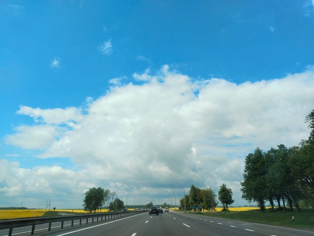 IMG_20250531_112527.jpg