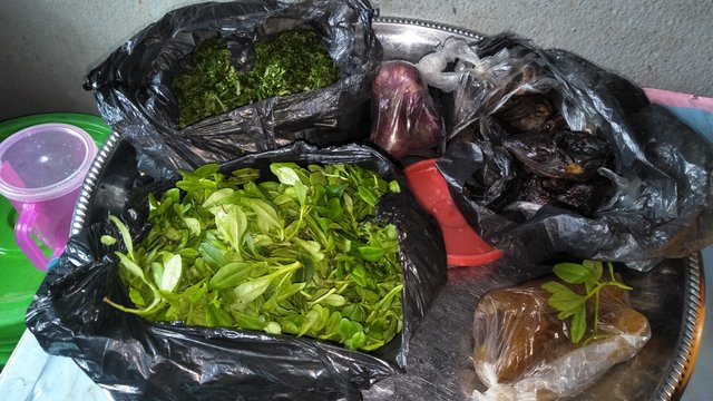 IMG20250904102146.jpg