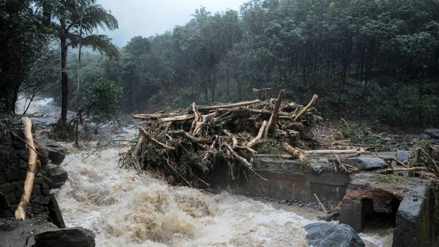 Kerala-floods-16.jpg