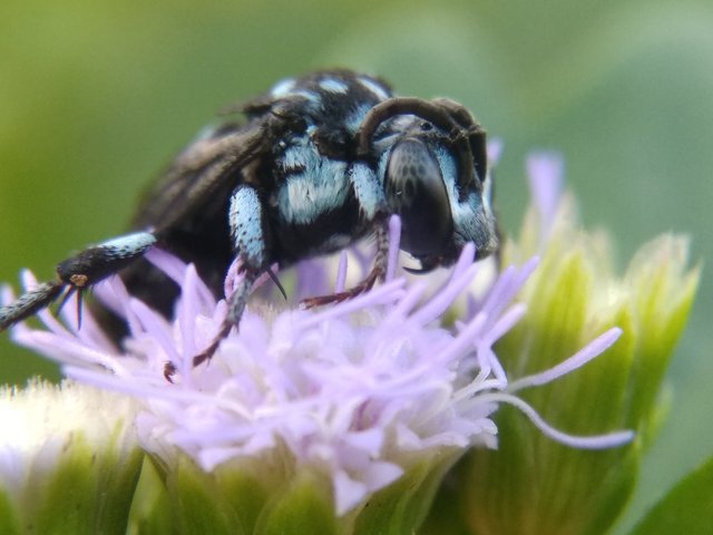 IMG_20210907_171247.jpg