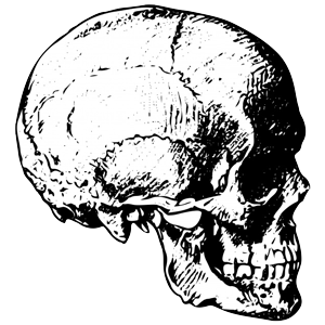 skull2.2.png