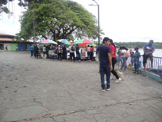 DSC02504.JPG
