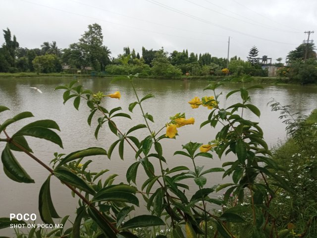 IMG_20250709_054820.