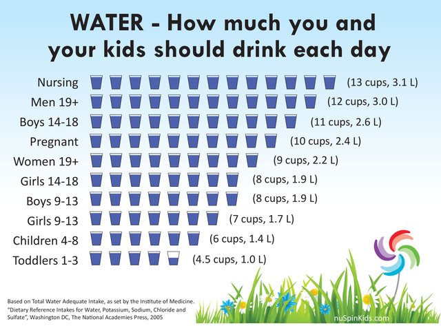 How-Much-Water-Infographic-2358x1742.jpg