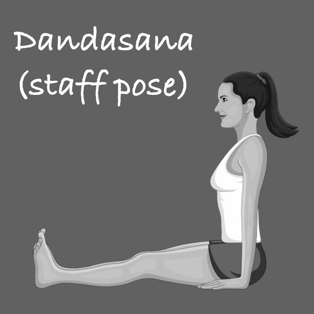 dandasana.jpeg