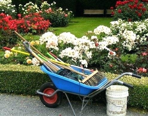 garden-wheel-barrels-how-to-choose-a-wheelbarrow-home-design-ideas-kitchen.jpg