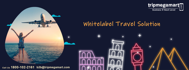 Whitelabel-Travel-Solution (1).png