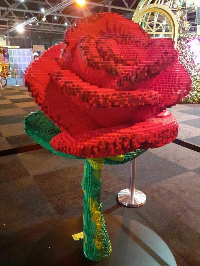 20251016_165752.jpg