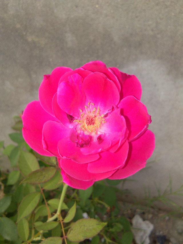 IMG_20180819_173750.jpg