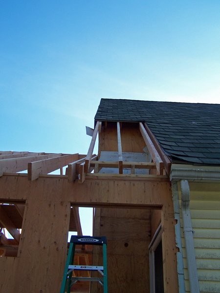 Construction - extended rafters on existing1 crop November 2019.jpg