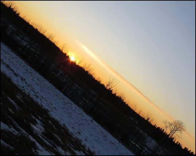 sublime sunset sun on horizon behind silloquette of poplar trees.JPG