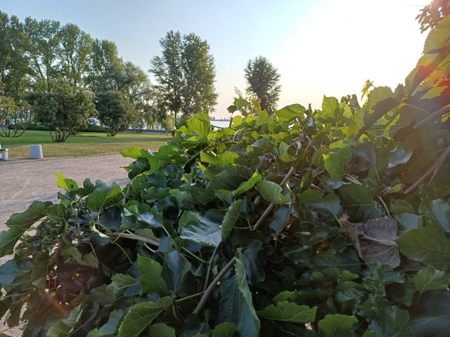 20250808_071052.jpg