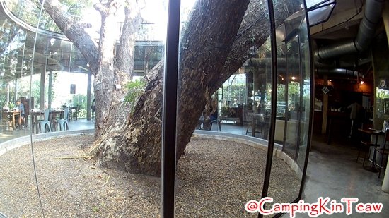 ST-หน้ามนหนมหวาน-10.jpg