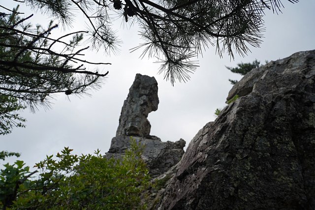b-DSC07381.JPG