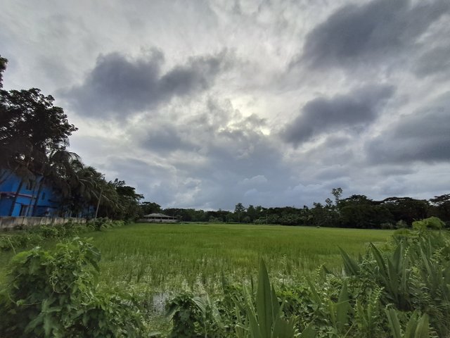 20240628_170234.jpg