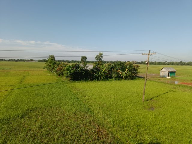 IMG20250612073828.jpg
