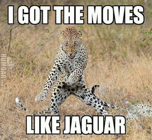 i-got-the-moves-like-jaguar.jpg