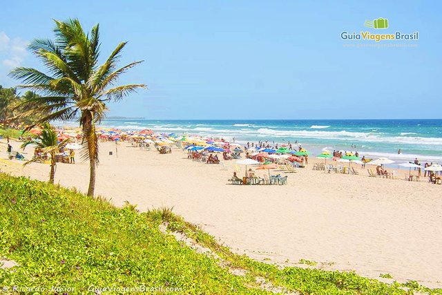 foto-praia-do-flamengo-salvador-bahia-brasil-1590.jpg